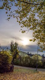 Scenic view of sunset over river
