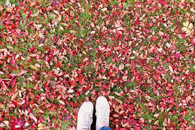 Low section of person standing by flowering tree