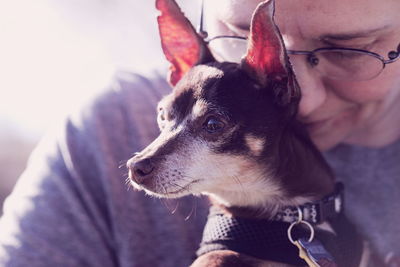 Close-up of dog with owner