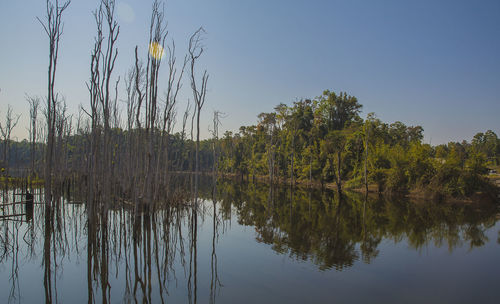 Reflection of trees in lake against clear sky