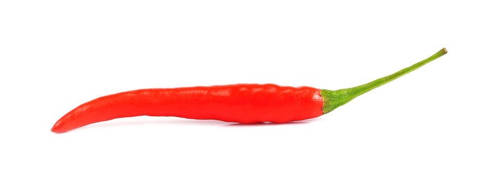 Close-up of red chili pepper against white background