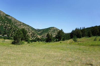 Scenic view of landscape against clear blue sky