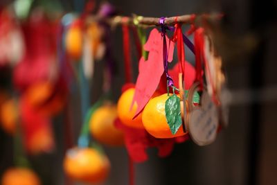 Close-up of orange fruits hanging from for sale