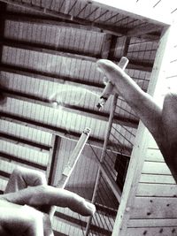 Low angle view of tree against sky