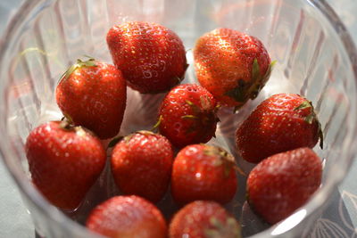 High angle view of strawberries on table