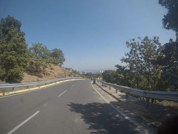 Empty road along trees and plants