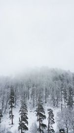 Scenic view of snow covered land against sky