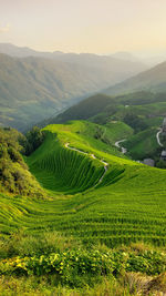 Winding roads on hills between the mountains. foggy landscape. china