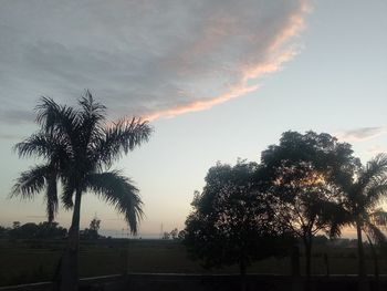 Silhouette trees on field against sky at sunset