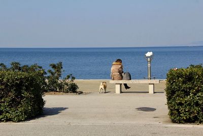 View of dog by sea against sky