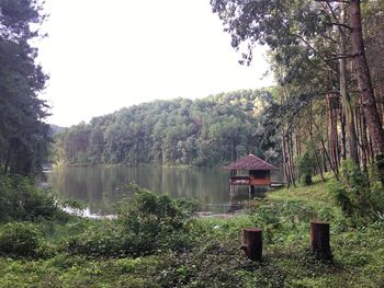 Scenic view of lake against trees in forest