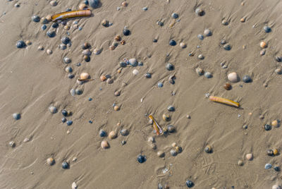 High angle view of footprints on sand at beach