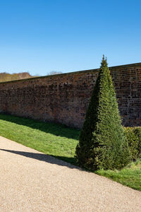 Footpath amidst field against clear blue sky