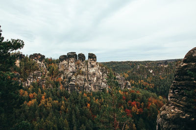 Panoramic view of trees on landscape against sky