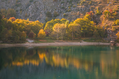 Scenic view of lake in forest during autumn