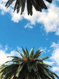 Low angle view of palm trees against blue sky