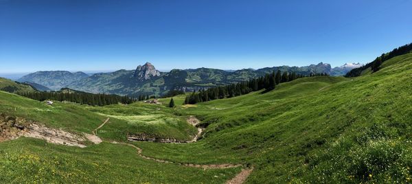 Scenic view of landscape against clear blue sky