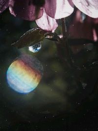 Close-up of water drops on leaf