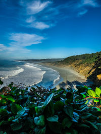 Scenic view of sea against blue sky