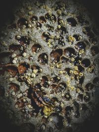 Full frame shot of bubbles