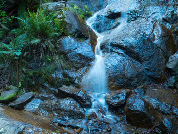 View of waterfall in forest