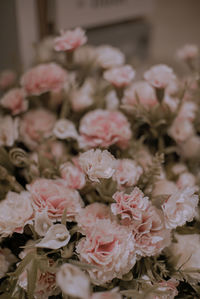 Close-up of pink roses