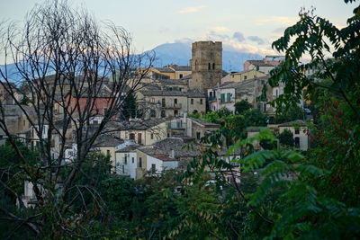 Houses and trees in city against sky