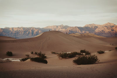 Scenic view of desert against sky