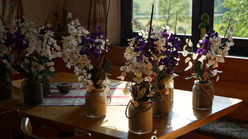 Close-up of potted plant on table by window