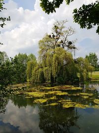 Reflection of trees in lake against sky