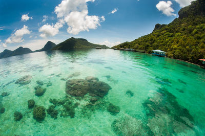 Scenic view of sea against blue sky