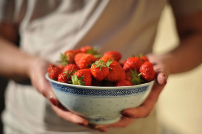 Midsection of strawberries in bowl