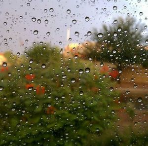 Close-up of water drops on glass