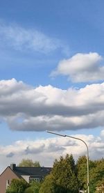 Low angle view of trees against sky