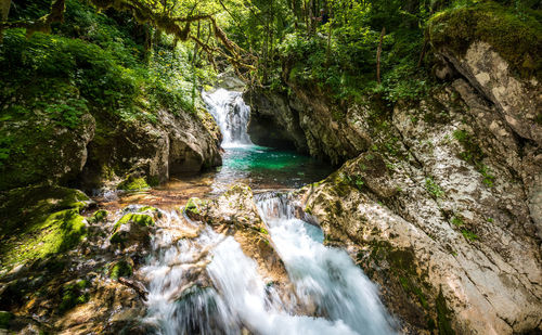 Stream flowing through rocks in forest