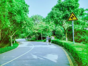 Road passing through country road