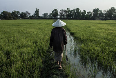 Rear view of man walking in field