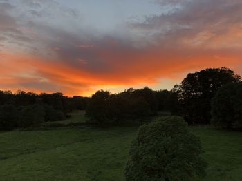 Scenic view of field against sky during sunset