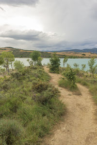 Scenic view of field against sky