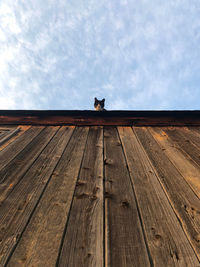 Low angle view of cat on wooden roof against sky