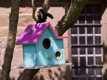 Close-up of birdhouse on tree trunk