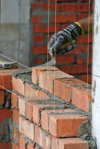 Close-up of lizard on retaining wall