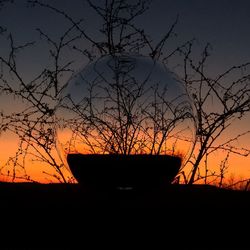 Silhouette bare trees against sky during sunset