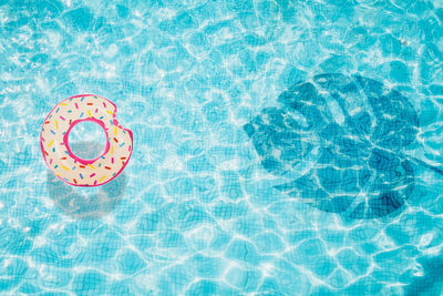 High angle view of bread floating in swimming pool