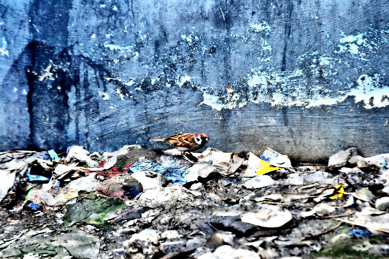 STACK OF GARBAGE ON WALL