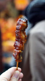 Unagi skewer grill japanese style eel with sauce at tsukiji market