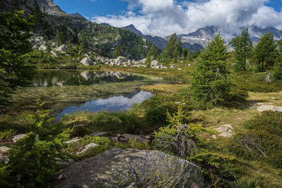 Scenic view of stream by lake against sky