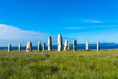 Stone sculptures on grassy field against sea