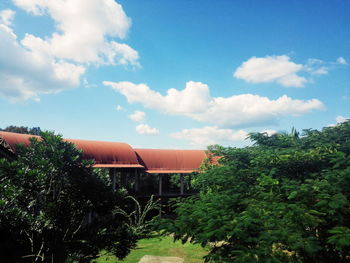 Plants and trees by houses against sky