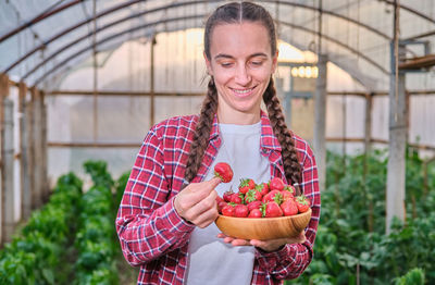 Woman worker harvesting strawberry in greenhouse holding wood dish with berries